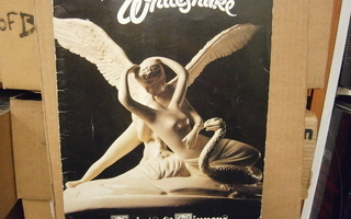 WHITESNAKE - SAINTS & SINNERS KIERTUEKIRJA