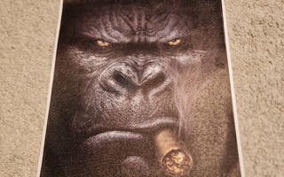 Gorilla juliste