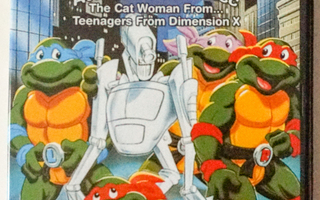 TEENAGE MUTANT HERO TURTLES (5) DVD