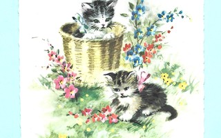 Vanha kortti: Pienet kissanpennut nurmella