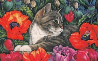 Irina Garmashova: Kissa ja unikot
