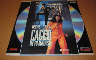 Laserdisc: Caged In Paradiso - Irene Cara  RARE!