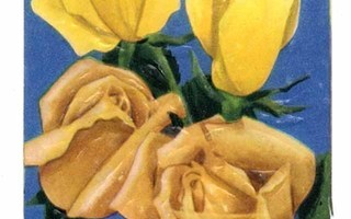M.P. 1241 / NELKKU: Keltaiset ruusut. 1950-60-l.