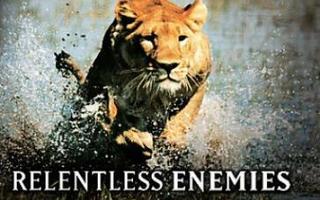 National Geographic :  Relentless Enemies  -  (Blu-ray)