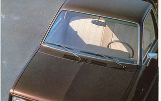 Isuzu Pickup - autoesite 1983