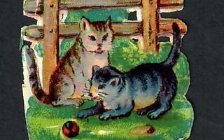 Wanha - Pienet kissat leikkivät pallolla - 1900-l alku