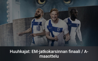 3 lippua Suomi-Viro jalkapallo-otteluun 26.3.2024