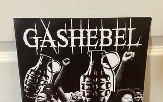 Gashebel / G.S.B. – Don't Fight Our Existence / Asshole 10"