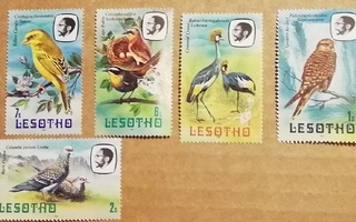 Lesotho  vanhemmat lintuaiheiset merkit