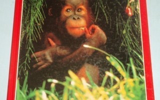 Alan M. Heatwole : Värikäs luonto : Apinat , hienoja kuvia!!
