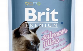 BRIT Premium Sterilized Gravy Salmon - kissan märkäruoka -