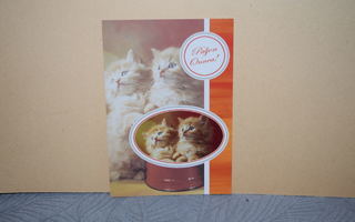 postikortti kissa