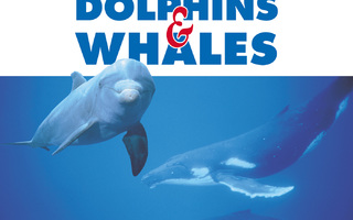 The Underwater World Of Dolphins & Whales CD  UUSI