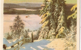 Anders Olsson - Talvimaisema -vanha kortti