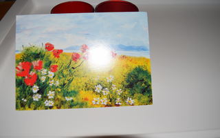 postikortti (A) kukkaniitty