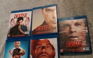 Dexter 4-8