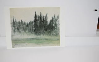 postikortti metsä