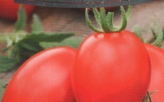 Tomaatti siemenet - Raspberry Delicacy