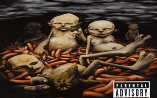 Limp Bizkit: Chocolate Starfish And The Hot Dog... (CD)