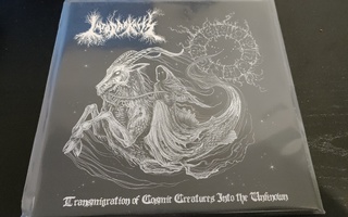Into Darkness – Transmigration Of Cosmic Creatures Into 7"