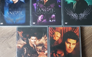 Angel, kaudet 1-5 Koko Sarja -DVD