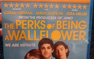 Elämäni Seinäruusuna - Perks of Being a Wallflower Blu-ray