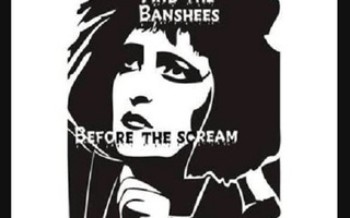 SIOUXSIE & THE BANSHEES before the scream 1977/78