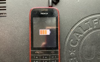 Nokia 203 + laturi