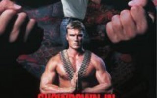 Showdown In Little Tokyo  DVD