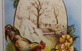 Kukko, kuoriutuvia tipuja, soikiomaisema, kukkia, p. 1956