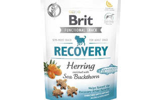 Brit Care Dog Recovery&Herring - Koiran herkku -