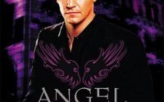 Angel  (Kausi 2)  DVD