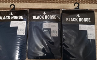 Black Horse asusteita