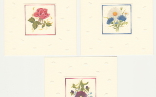 Leena Airikkala : 3 pientä kukkakorttia