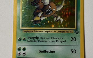 Pinsir (holo), 9/64, Pokemon Jungle