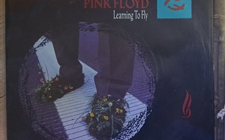 Pink floyd - learning to fly / terminal frost 7"