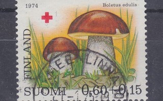 1974 Pr 0,6 mk loistoleimalla.