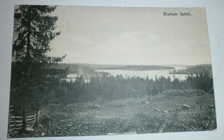 Ylöjärvi, Kurun lahti, p. 1915 + sens. (USA -> Suomi)