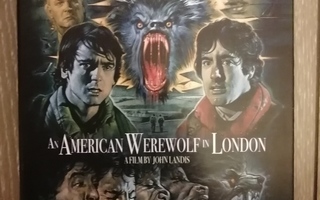 An American Werewolf in London, Arrow Limited Edition