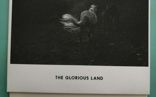 PJ Harvey-Glorious land>[7"]