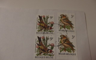 Kirjekuori, jossa 4 belgialaista postimerkkiä 80 -luvulta