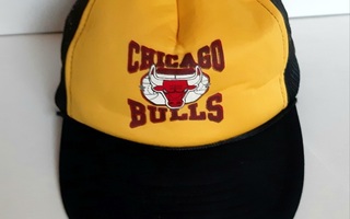 Chicago Bulls vintage lippis
