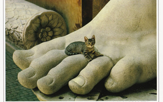 Rooma, kissa patsaan jalan päällä (isohko kortti)