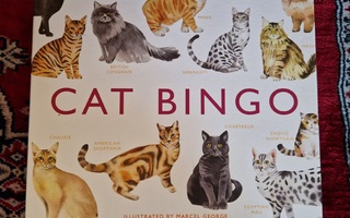 CAT/ Kissa  Bingo Peli  uudenveroinen