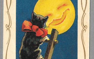 Musta kissa täysikuu tipu kulk. 1935