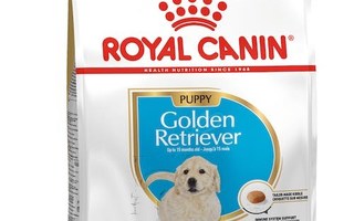 ROYAL CANIN Golden Retriever Puppy - koiran kuiv