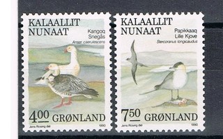 Grönlanti 1990 - Lintuja (2)  ++