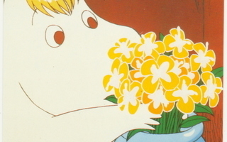 Muumit : Ilon kukkia juhlapäivänäsi 1992