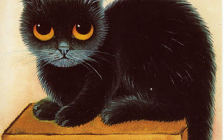Anna Hollerer - Musta kissa lipaston päällä