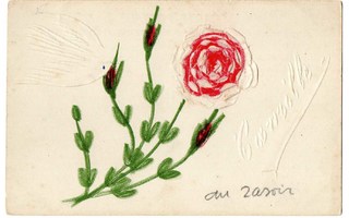 ILMAINEN! / Kohokuvioitu ranskalainen ruusu. 1900-l.
